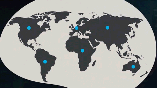 International Custom Software