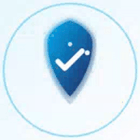 Shield Icon Smaller