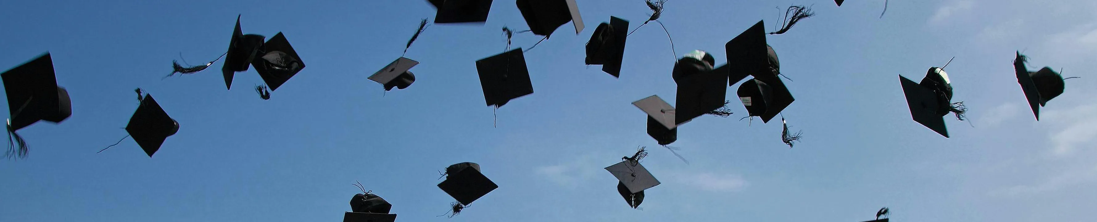 Onderwijssoftware banner