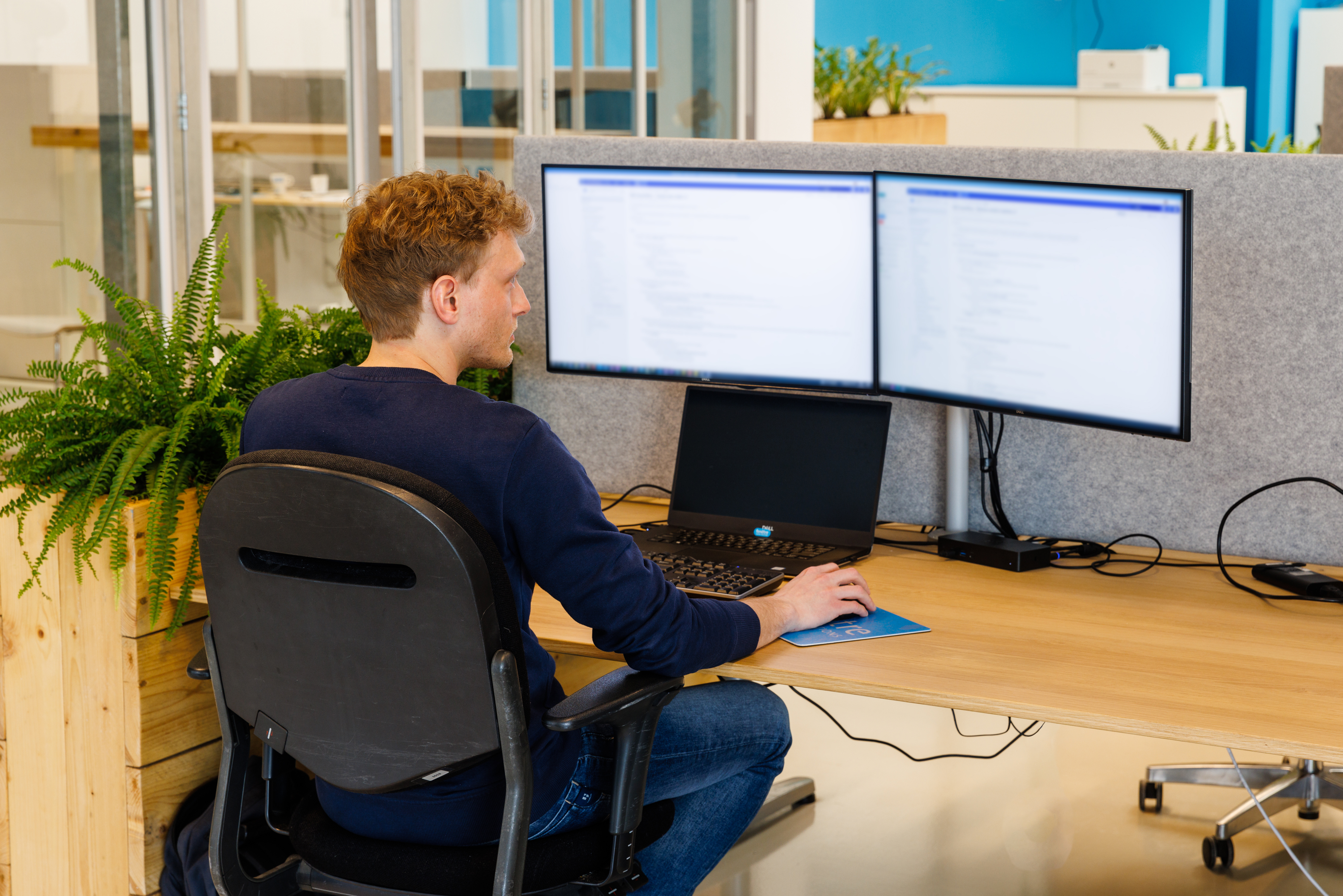 Low code developers